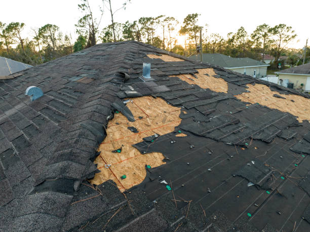 Roof Insulation Installation in Bishop, TX